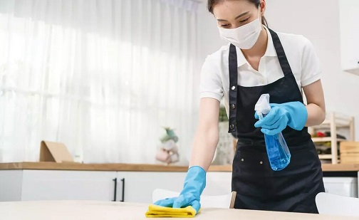 Vadi Istanbul Maid Services
